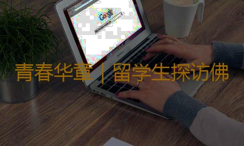 青春华章|留学生探访佛山盾构机工厂:中国产“钢铁巨龙”,了不起!